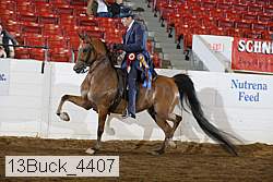 13buck_4407 proof