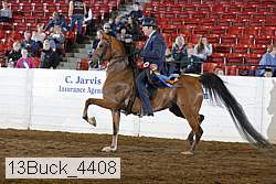 13buck_4408 proof