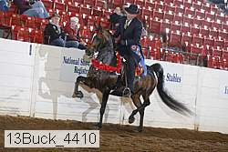 13buck_4410 proof
