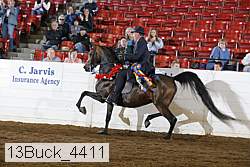 13buck_4411 proof