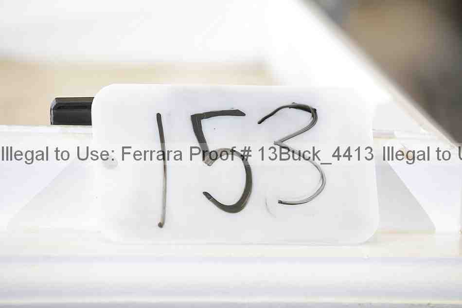 Proof 13buck_4413