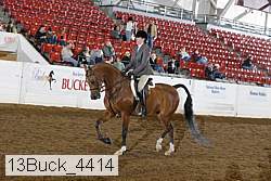 13buck_4414 proof
