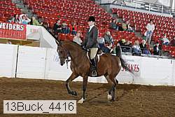 13buck_4416 proof