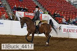 13buck_4417 proof
