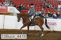 13buck_4418 proof
