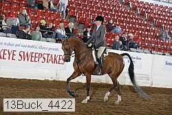 13buck_4422 proof
