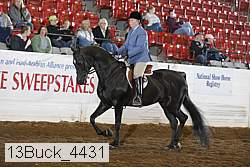 13buck_4431 proof