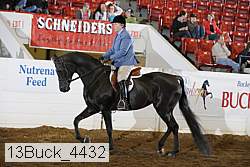 13buck_4432 proof