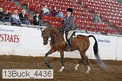 13buck_4436 proof