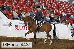 13buck_4439 proof