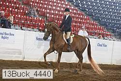 13buck_4440 proof