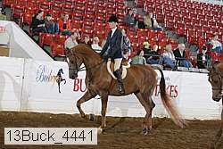 13buck_4441 proof