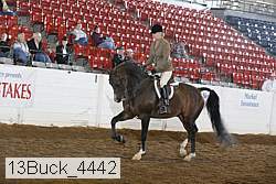 13buck_4442 proof