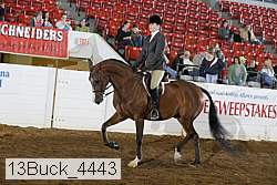 13buck_4443 proof