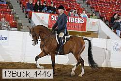 13buck_4445 proof