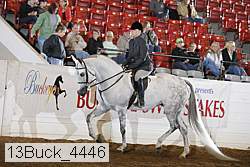 13buck_4446 proof