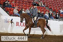 13buck_4447 proof