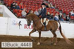 13buck_4448 proof