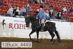 13buck_4449 proof