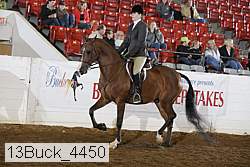 13buck_4450 proof