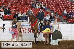13buck_4453 proof