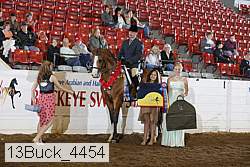 13buck_4454 proof