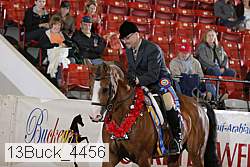 13buck_4456 proof