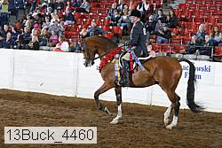 13buck_4460 proof