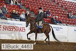 13buck_4463 proof