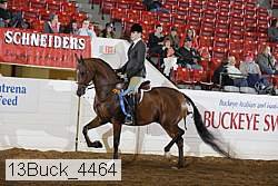 13buck_4464 proof