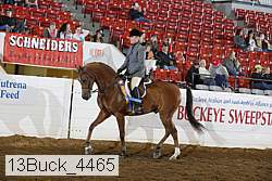 13buck_4465 proof