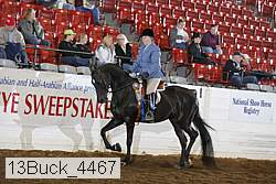 13buck_4467 proof