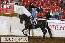13buck_4468 proof