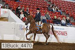 13buck_4470 proof