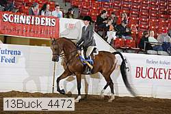 13buck_4472 proof