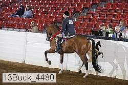 13buck_4480 proof