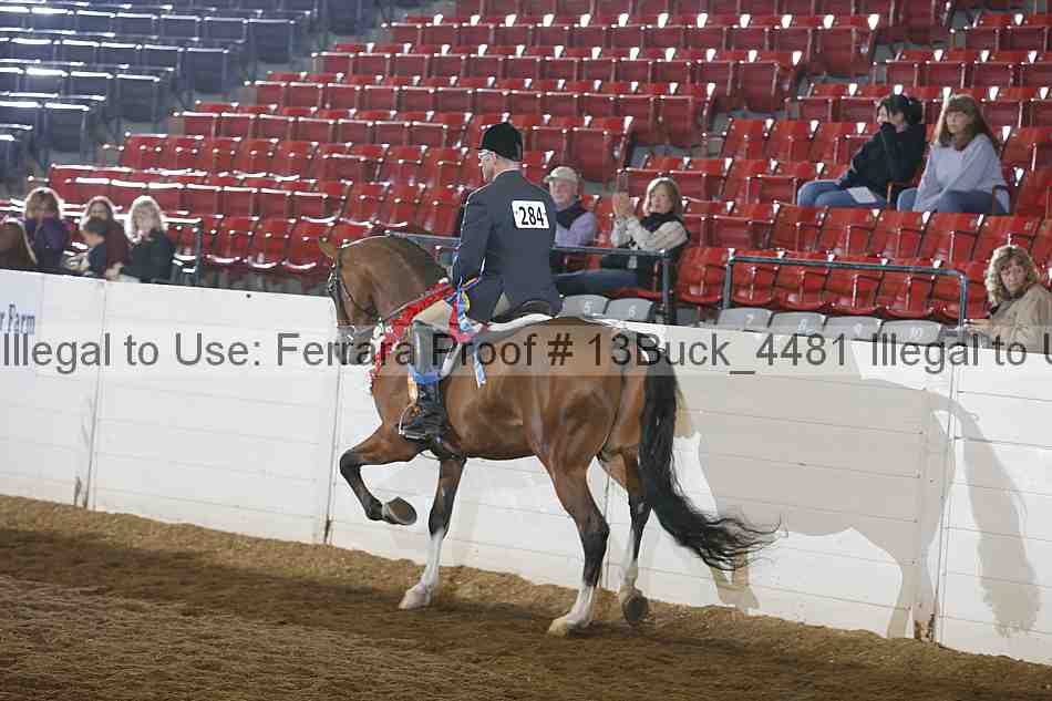Proof 13buck_4481