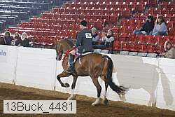 13buck_4481 proof