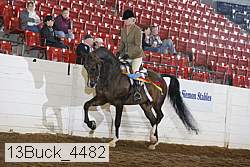 13buck_4482 proof