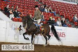 13buck_4483 proof