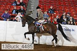 13buck_4485 proof