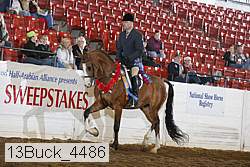 13buck_4486 proof