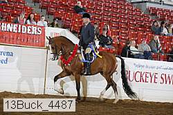 13buck_4487 proof