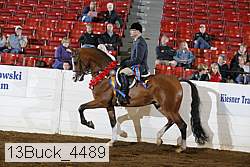 13buck_4489 proof