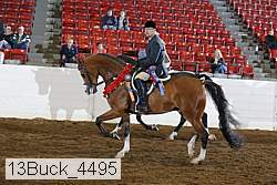 13buck_4495 proof