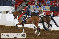 13buck_4496 proof