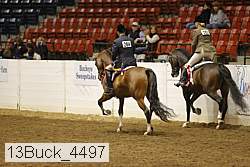 13buck_4497 proof