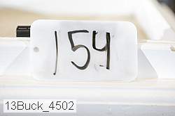 13buck_4502 proof