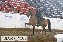 13buck_4503 proof