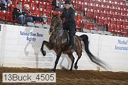 13buck_4505 proof